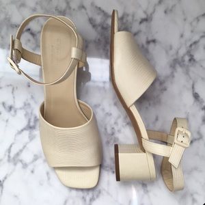 Everlane Block Heel Sandal Size 9 Cream